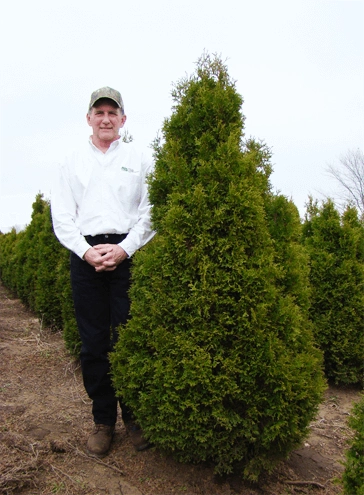 man next to holmstrup arborvitae